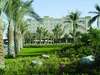 Coral Beach Resort 